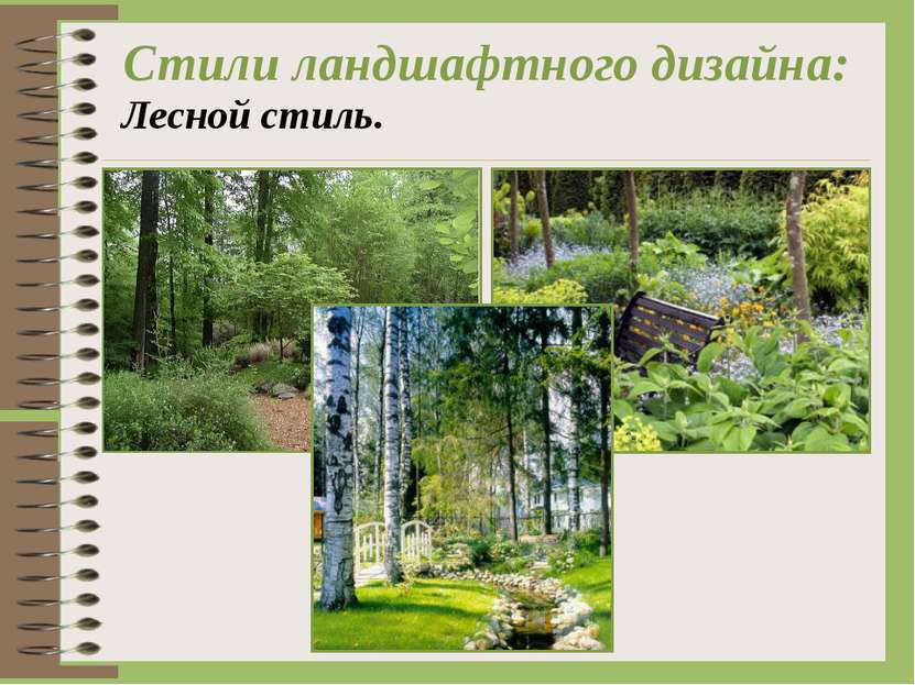 Стили ландшафтного дизайна: Лесной стиль.