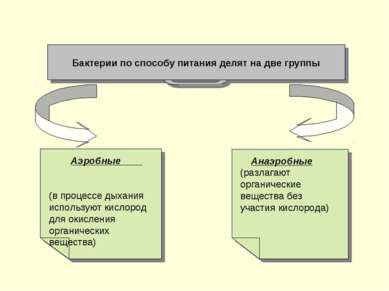 Бактерии по способу питания делят на две группы Анаэробные (разлагают органич...