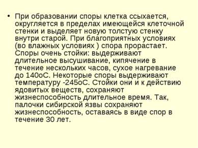 При образовании споры клетка ссыхается, округляется в пределах имеющейся клет...