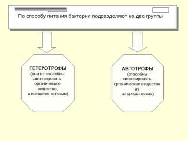 По способу питания бактерии подразделяют на две группы ГЕТЕРОТРОФЫ (они не сп...