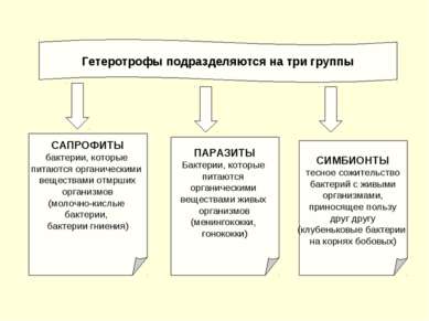 Гетеротрофы подразделяются на три группы САПРОФИТЫ бактерии, которые питаются...