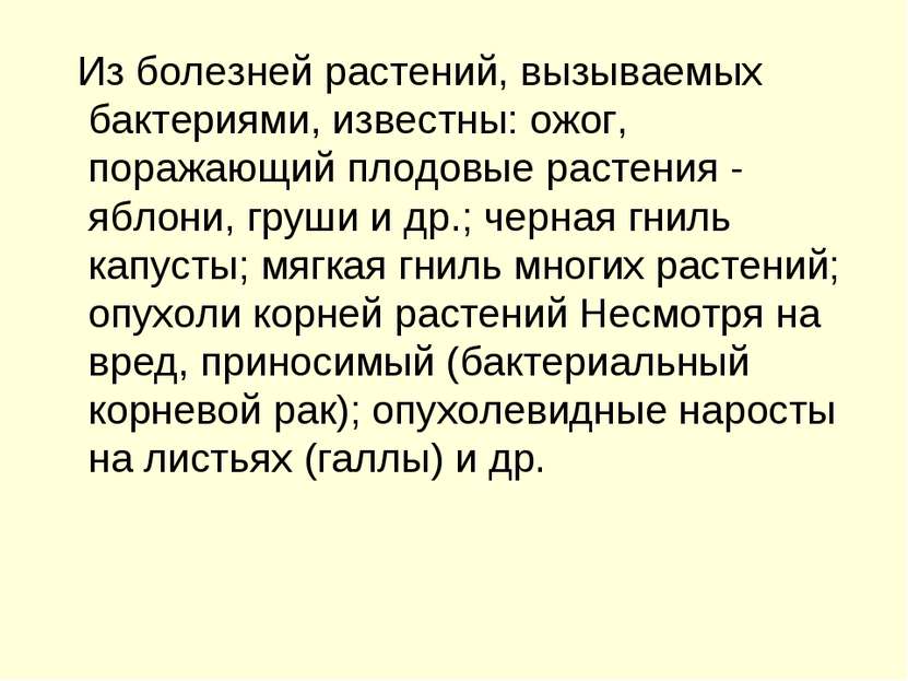 Из болезней растений, вызываемых бактериями, известны: ожог, поражающий плодо...