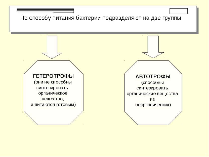 По способу питания бактерии подразделяют на две группы ГЕТЕРОТРОФЫ (они не сп...