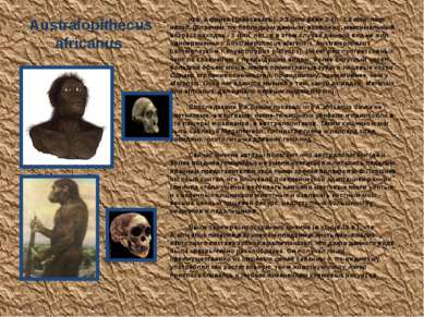 Australopithecus africanus Юж. Африка (Трансвааль), 3.3 (или даже 3.5) - 2.5 ...