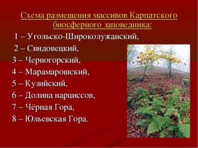Схема размещения массивов Карпатского биосферного заповедника: 1 – Угольско-Ш...