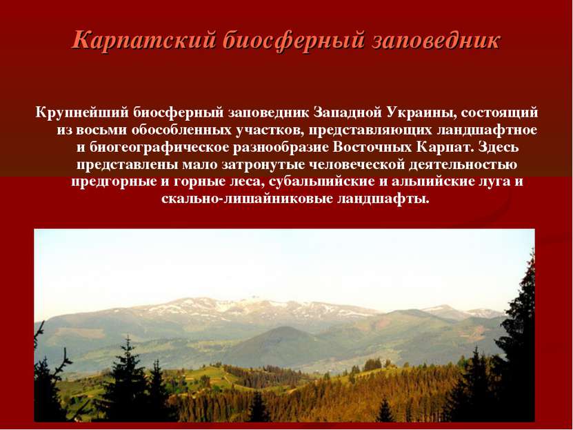 Карпатский биосферный заповедник Крупнейший биосферный заповедник Западной Ук...