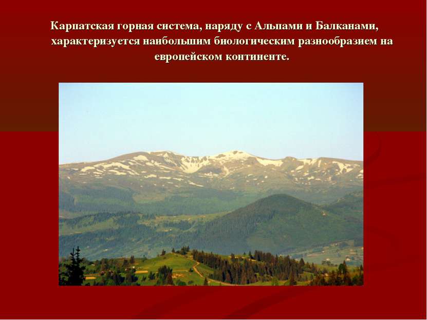 Карпатская горная система, наряду с Альпами и Балканами, характеризуется наиб...
