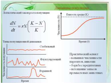 Динамика популяции.