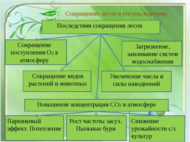 Сокращение лесов и его последствия. Последствия сокращения лесов Сокращение п...