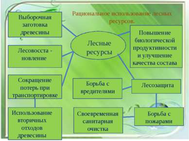 Рациональное использование лесных ресурсов. Лесные ресурсы Выборочная заготов...