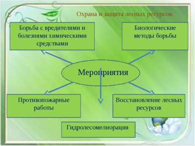 Охрана и защита лесных ресурсов. Борьба с вредителями и болезнями химическими...