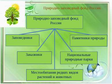 Природно-заповедный фонд России. Природно-заповедный фонд России Заповедники ...