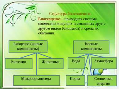 Биогеоценоз – природная система совместно живущих и связанных друг с другом в...