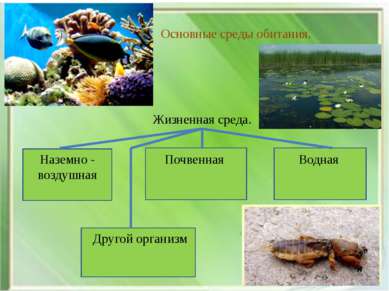 Основные среды обитания. Жизненная среда. Наземно - воздушная Почвенная Водна...