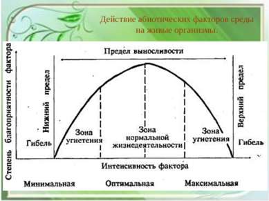 Действие абиотических факторов среды на живые организмы.