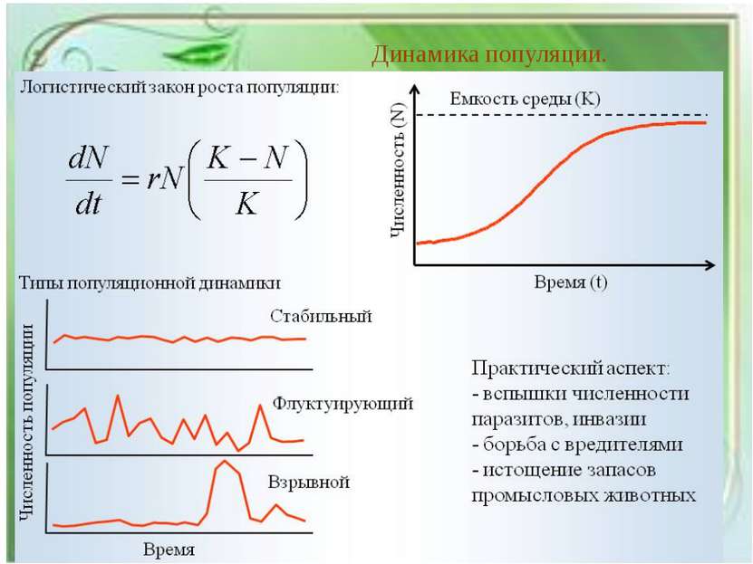 Динамика популяции.