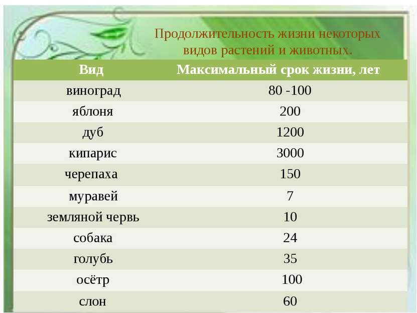 Продолжительность жизни некоторых видов растений и животных. Вид Максимальный...