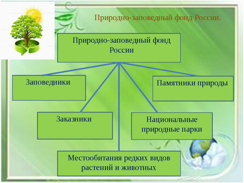 Природно-заповедный фонд России. Природно-заповедный фонд России Заповедники ...