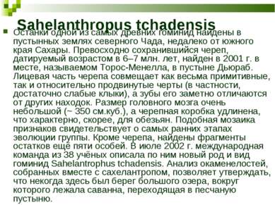 Sahelanthropus tchadensis Останки одной из самых древних гоминид найдены в пу...