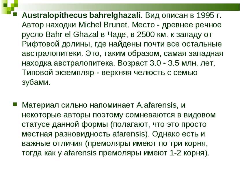 Australopithecus bahrelghazali. Вид описан в 1995 г. Автор находки Michel Bru...