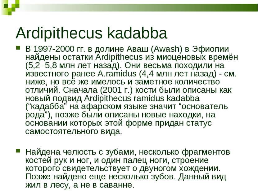 Ardipithecus kadabba В 1997-2000 гг. в долине Аваш (Awash) в Эфиопии найдены ...