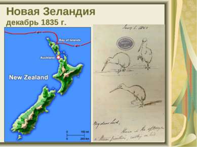 Новая Зеландия декабрь 1835 г.