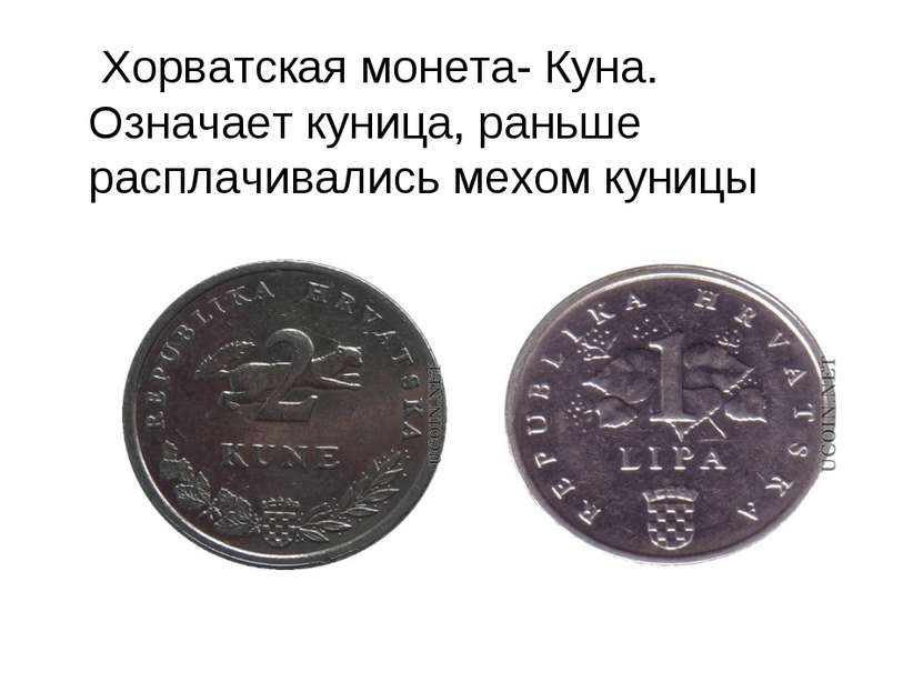 Хорватская монета- Куна. Означает куница, раньше расплачивались мехом куницы