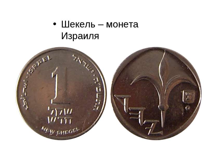 Шекель – монета Израиля