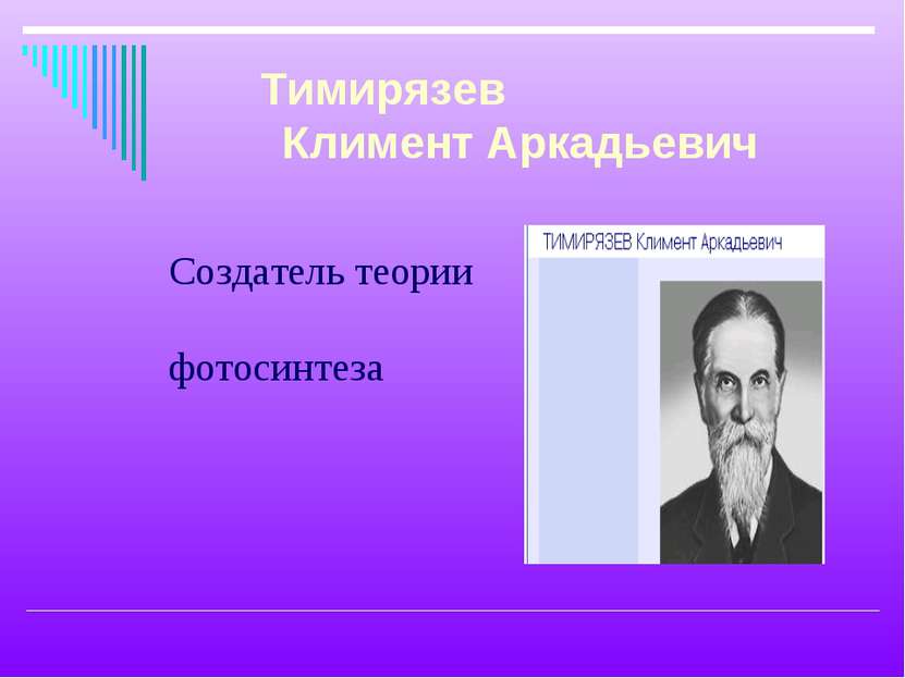 Создатель теории фотосинтеза Тимирязев Климент Аркадьевич