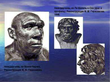 Неандерталец из Монте-Чирчео. Реконструкция М. М. Герасимова. Неандерталец из...