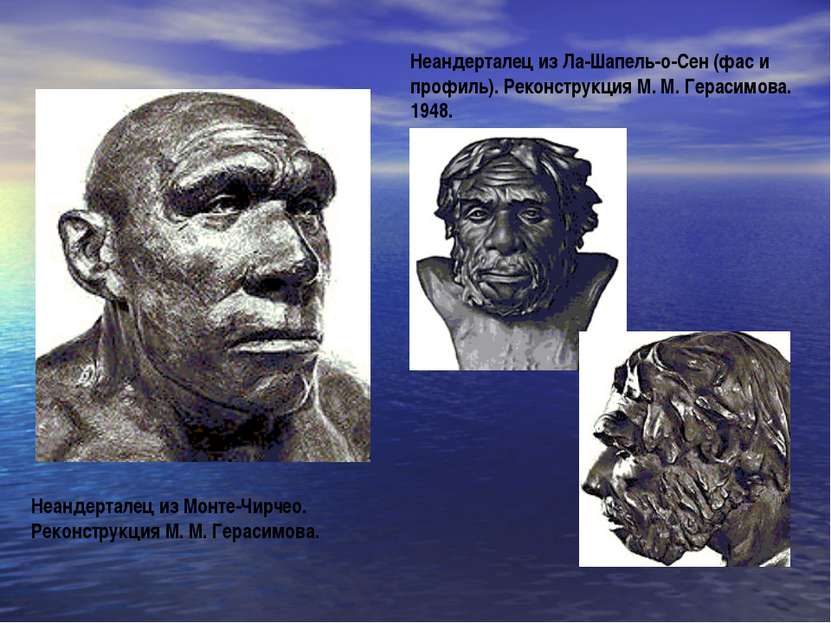 Неандерталец из Монте-Чирчео. Реконструкция М. М. Герасимова. Неандерталец из...