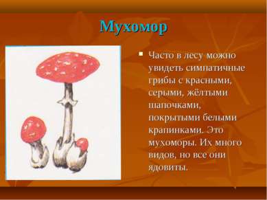 Мухомор Часто в лесу можно увидеть симпатичные грибы с красными, серыми, жёлт...