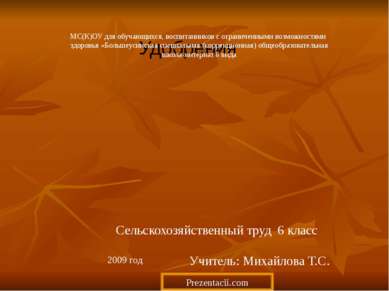 Удобрения Сельскохозяйственный труд 6 класс Учитель: Михайлова Т.С. 2009 год ...