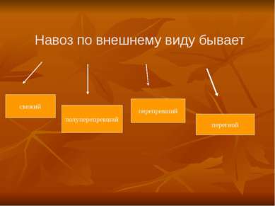 Навоз по внешнему виду бывает свежий полуперепревший перепревший перегной