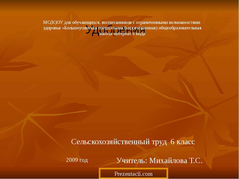 Удобрения Сельскохозяйственный труд 6 класс Учитель: Михайлова Т.С. 2009 год ...