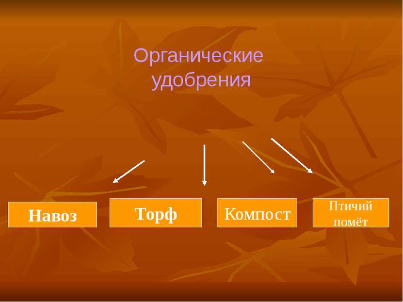 Органические удобрения Навоз Торф Компост Птичий помёт