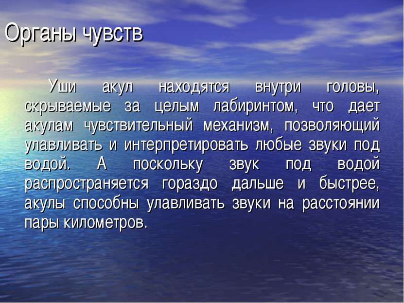 Органы чувств Уши акул находятся внутри головы, скрываемые за целым лабиринто...