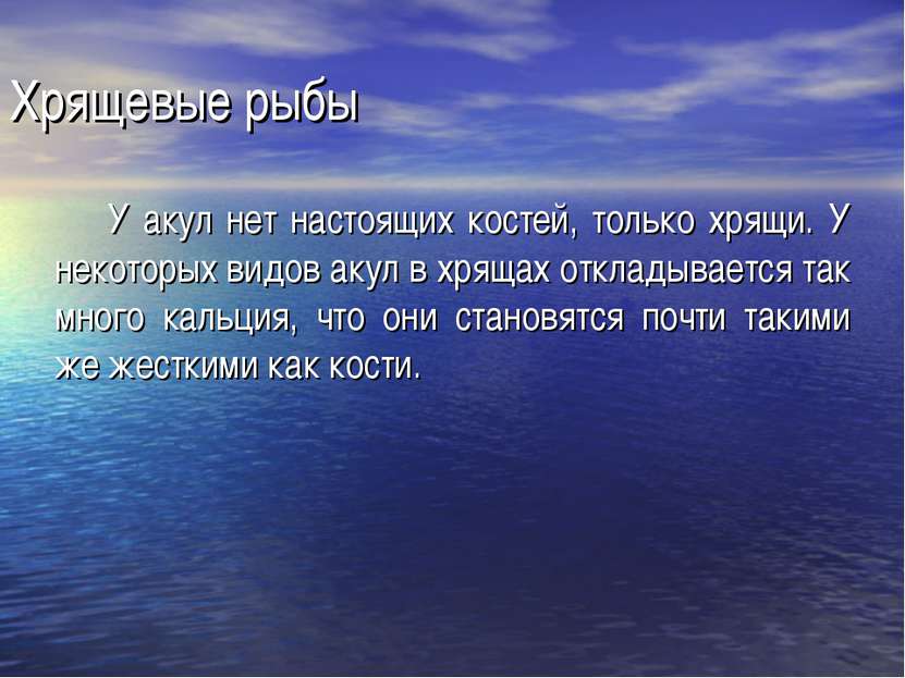 Хрящевые рыбы У акул нет настоящих костей, только хрящи. У некоторых видов ак...