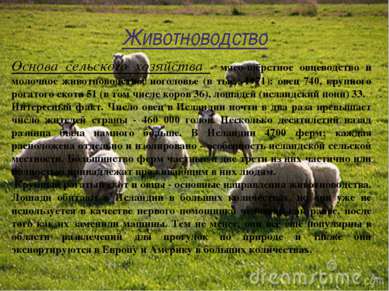 Животноводство Основа сельского хозяйства - мясо-шёрстное овцеводство и молоч...
