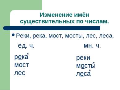 Изменение имён существительных по числам. Реки, река, мост, мосты, лес, леса....