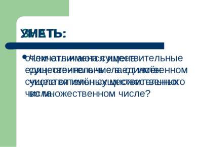 ЗНАТЬ: Чем отличаются имена существительные в единственном числе от имён суще...