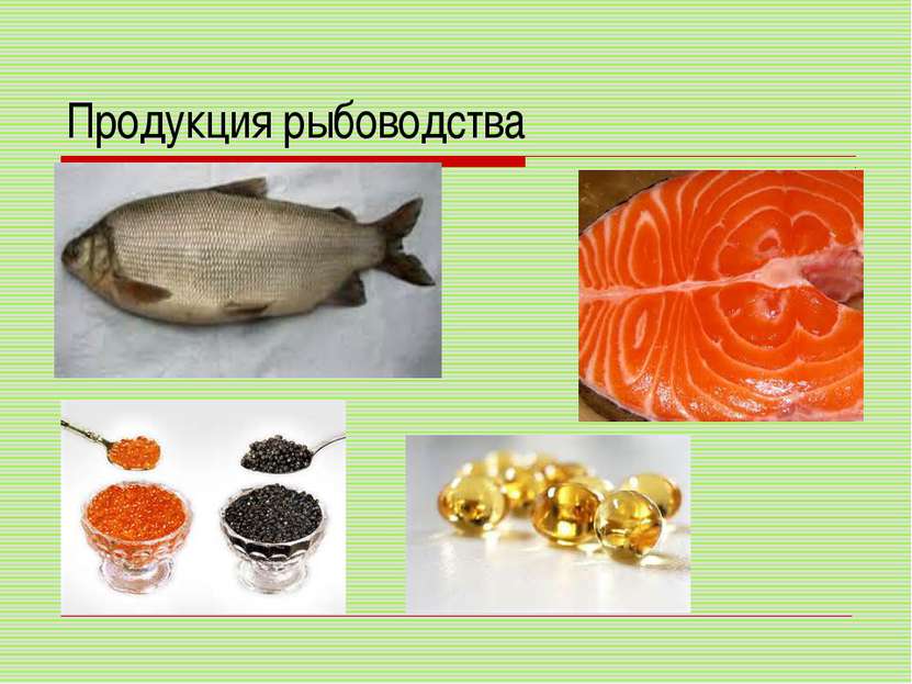 Продукция рыбоводства