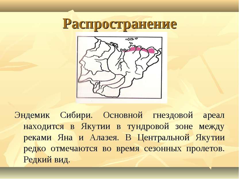 Распространение Эндемик Сибири. Основной гнездовой ареал находится в Якутии в...