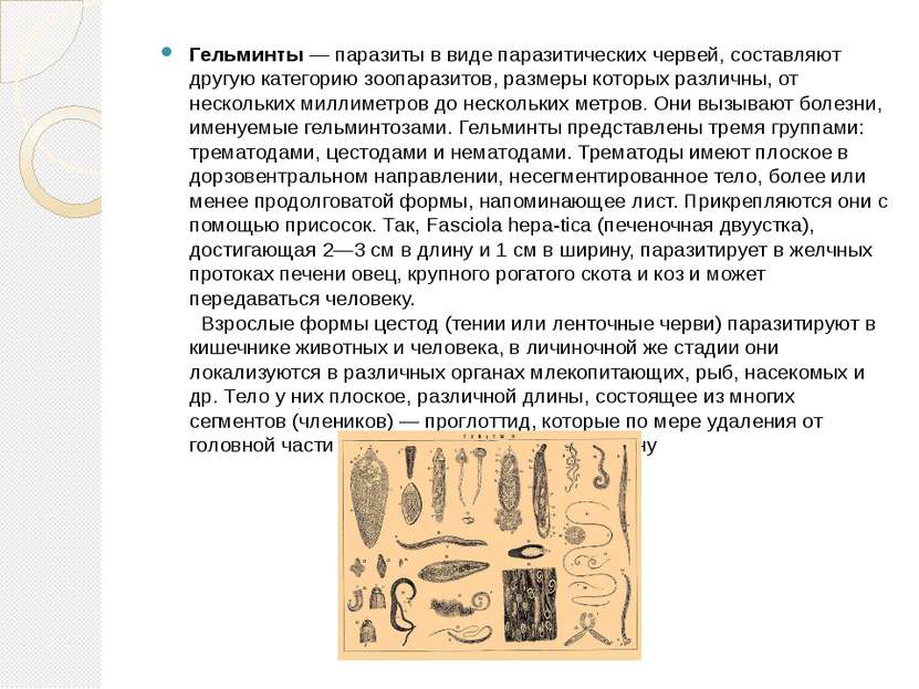 Гельминты — паразиты в виде паразитических червей, составляют другую категори...