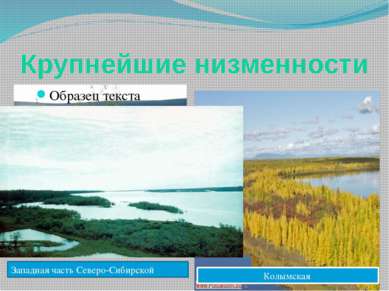 Крупнейшие низменности Центральноякутская Колымская Западная часть Северо-Сиб...