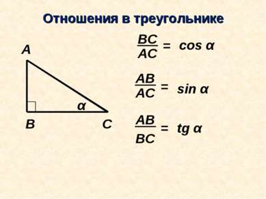 Отношения в треугольнике АС ВС = АС АВ = АВ ВС = cos α sin α tg α
