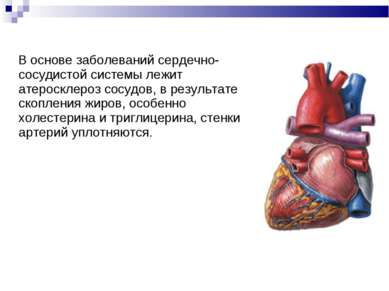 В основе заболеваний сердечно-сосудистой системы лежит атеросклероз сосудов, ...