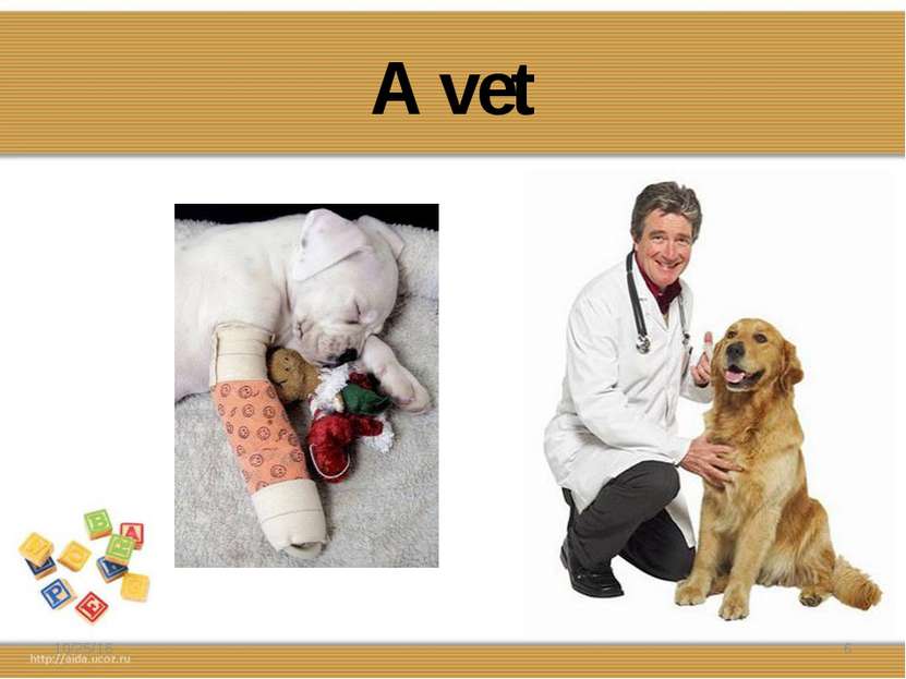 A vet * *