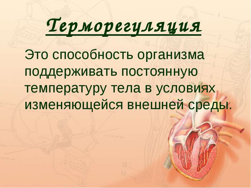 Терморегуляция Это способность организма поддерживать постоянную температуру ...