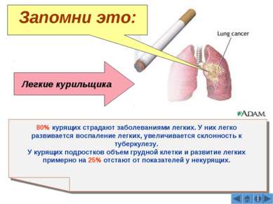 Легкие курильщика 80% курящих страдают заболеваниями легких. У них легко разв...